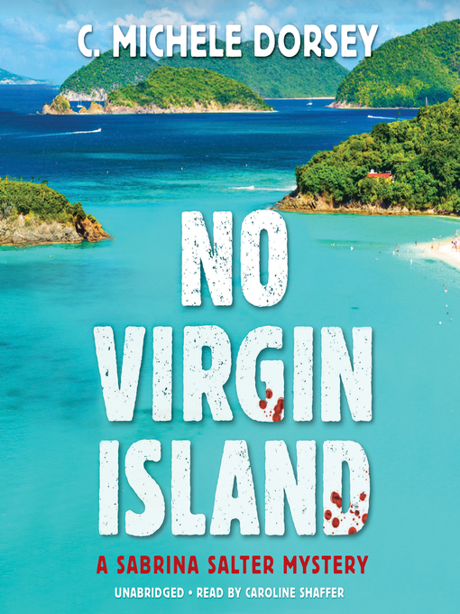Title details for No Virgin Island by C. Michele Dorsey - Wait list